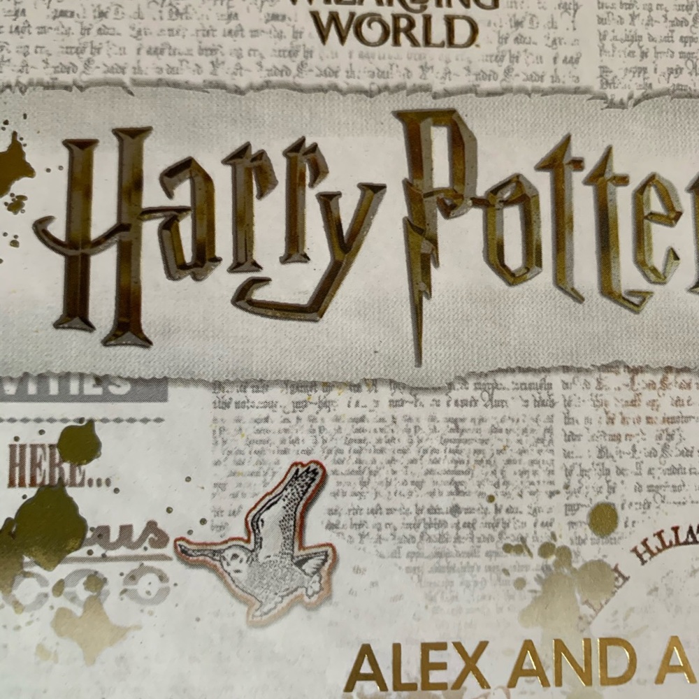 Brand new Alex and Ani Harry Potter edition